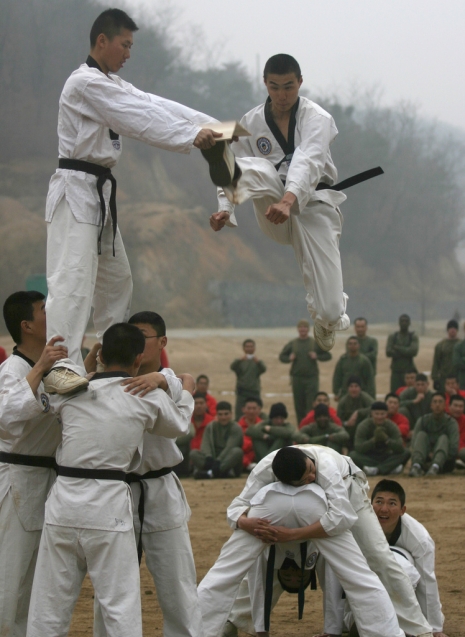 Taekwondo (Via <a href="http://www.flickr.com/photos/unc-cfc-usfk/3463749835">UNC - CFC - USFK</a>.)